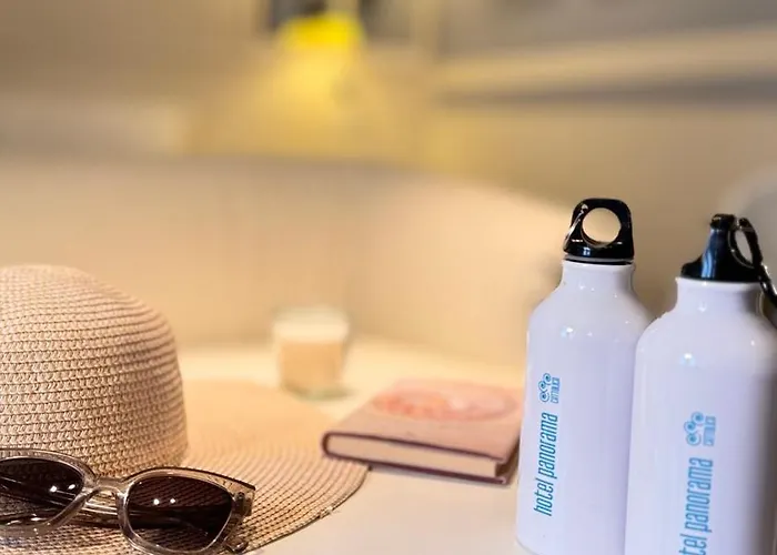 酒店 全景酒店 3*